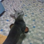 debra_03